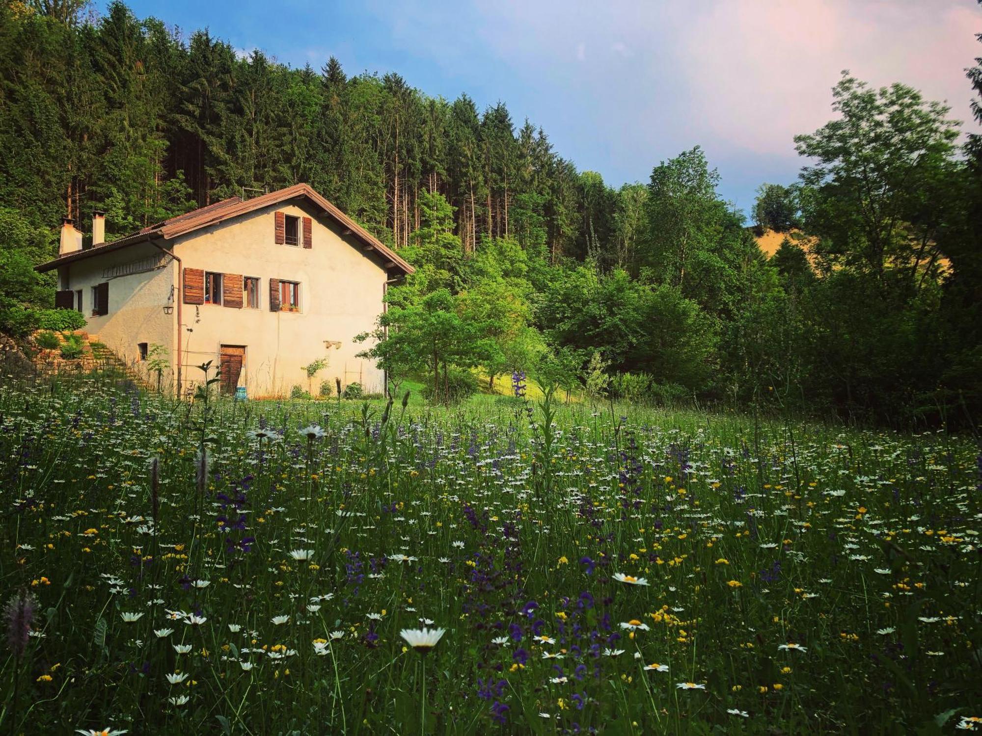 Alla Casetta B&B Cesiomaggiore Extérieur photo